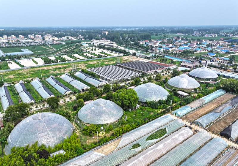 农旅融合促振兴(3681970)-20250805110046_副本.jpg